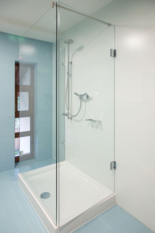 Modern Shower Renovation